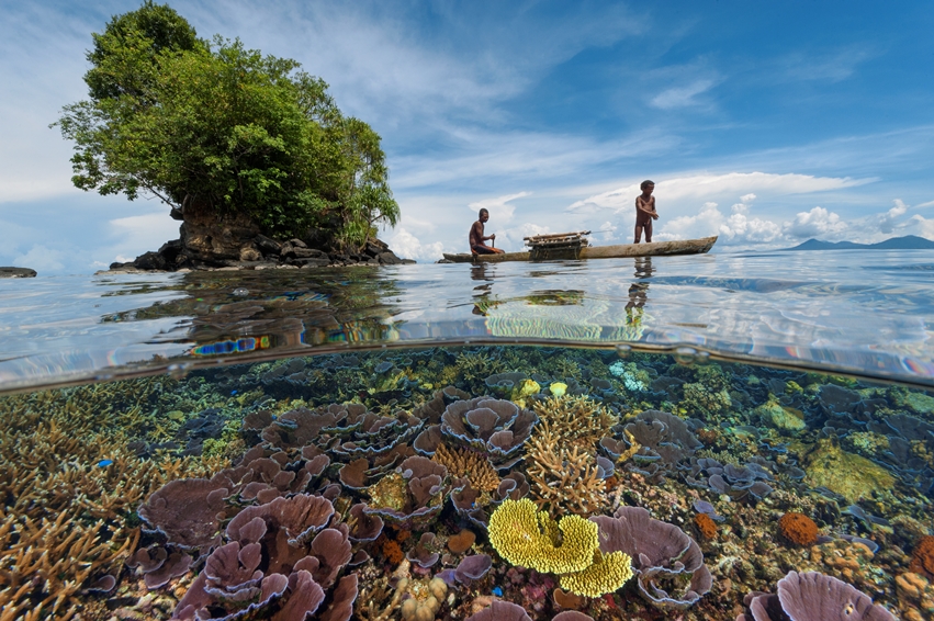 Two people in a wooden boat near a small island with a tree, with colorful coral visible underwater.
