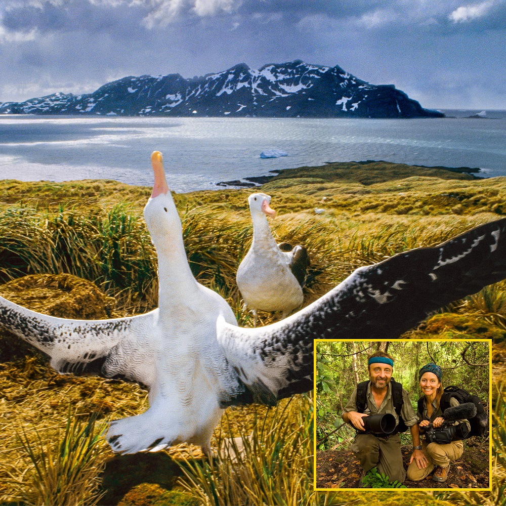 Kauffman Center Presents
Trailblazing Talks with Frans Lanting and Christine Eckstrom
Bay of Life: From Wind to Whales