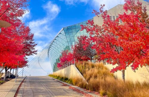 The Kauffman Center, a modern glass building with an angled roof, sits behind vibrant red autumn trees and tall grasses along a paved walkway under a blue sky.