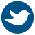 Kauffman Web Icons - Blue-Twitter